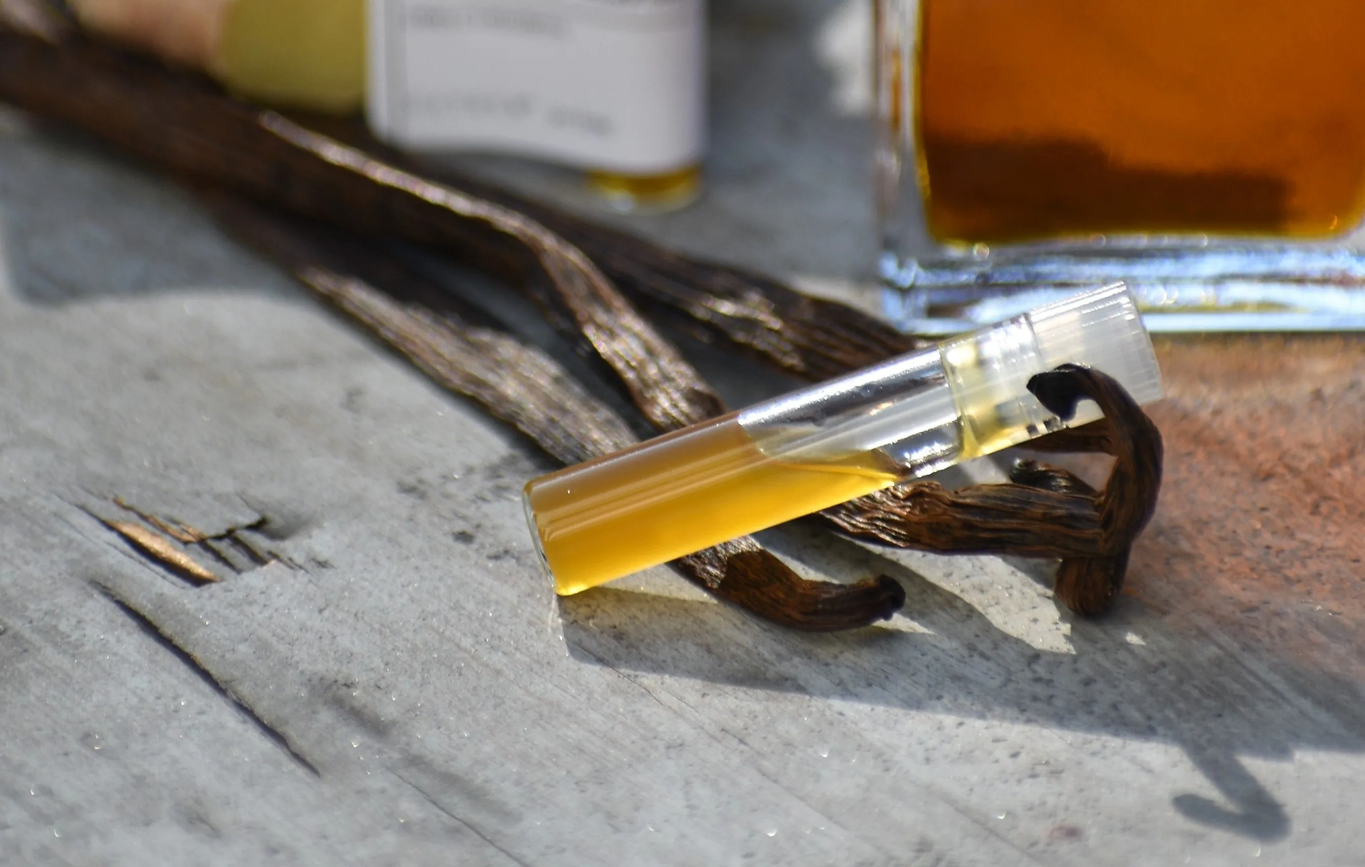 AUTONOETIC | natural botanical perfume | human consciousness