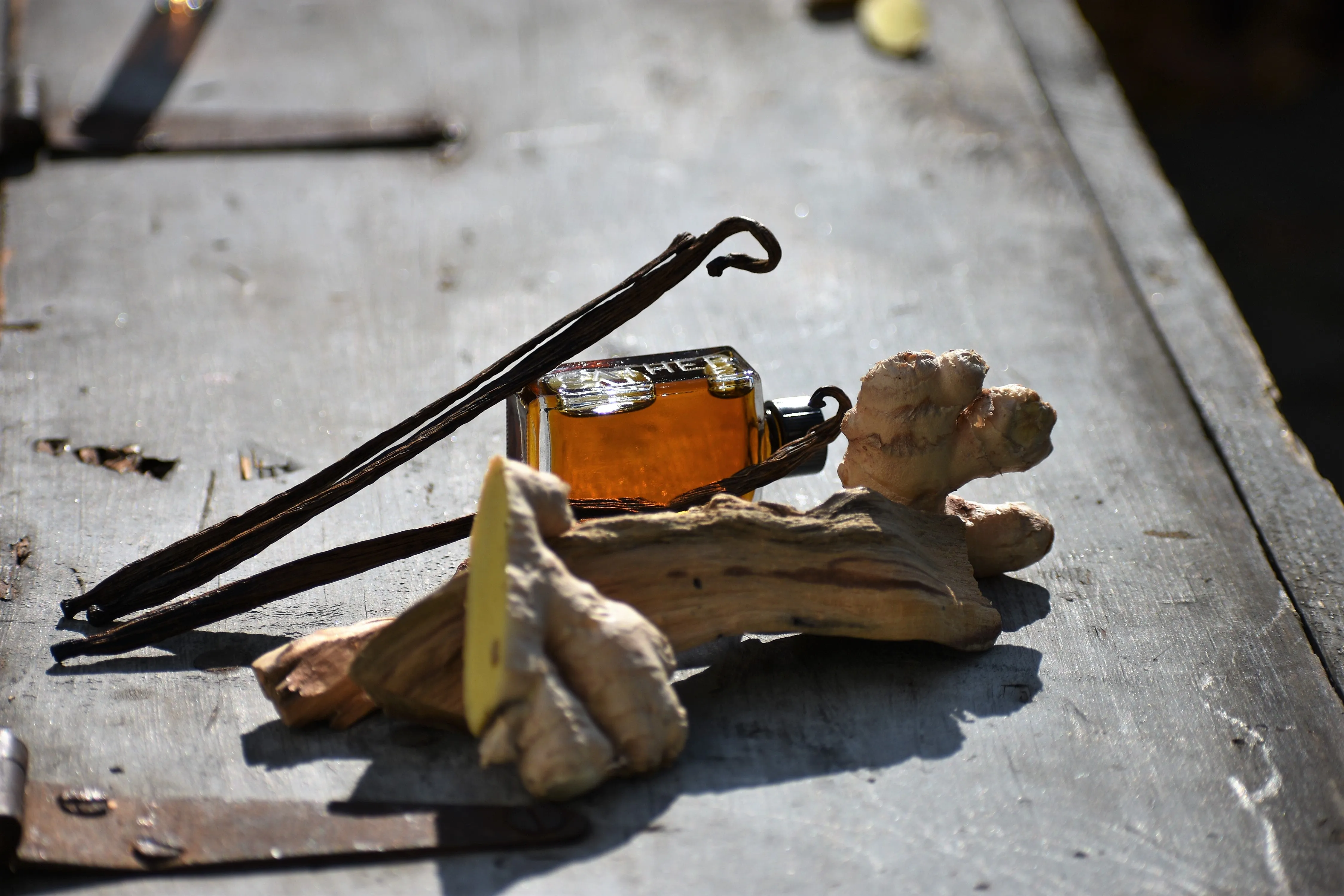AUTONOETIC | natural botanical perfume | human consciousness