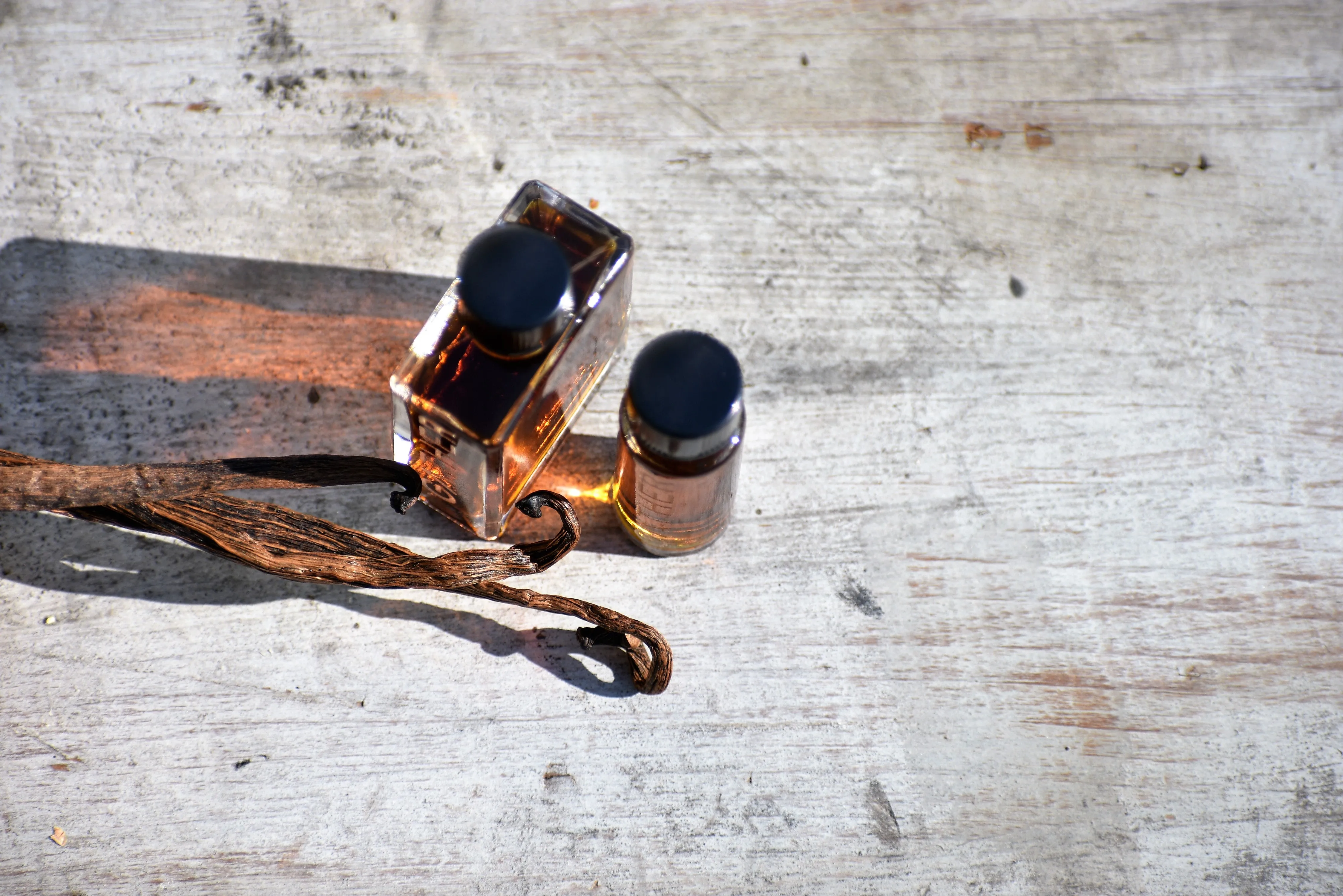 AUTONOETIC | natural botanical perfume | human consciousness