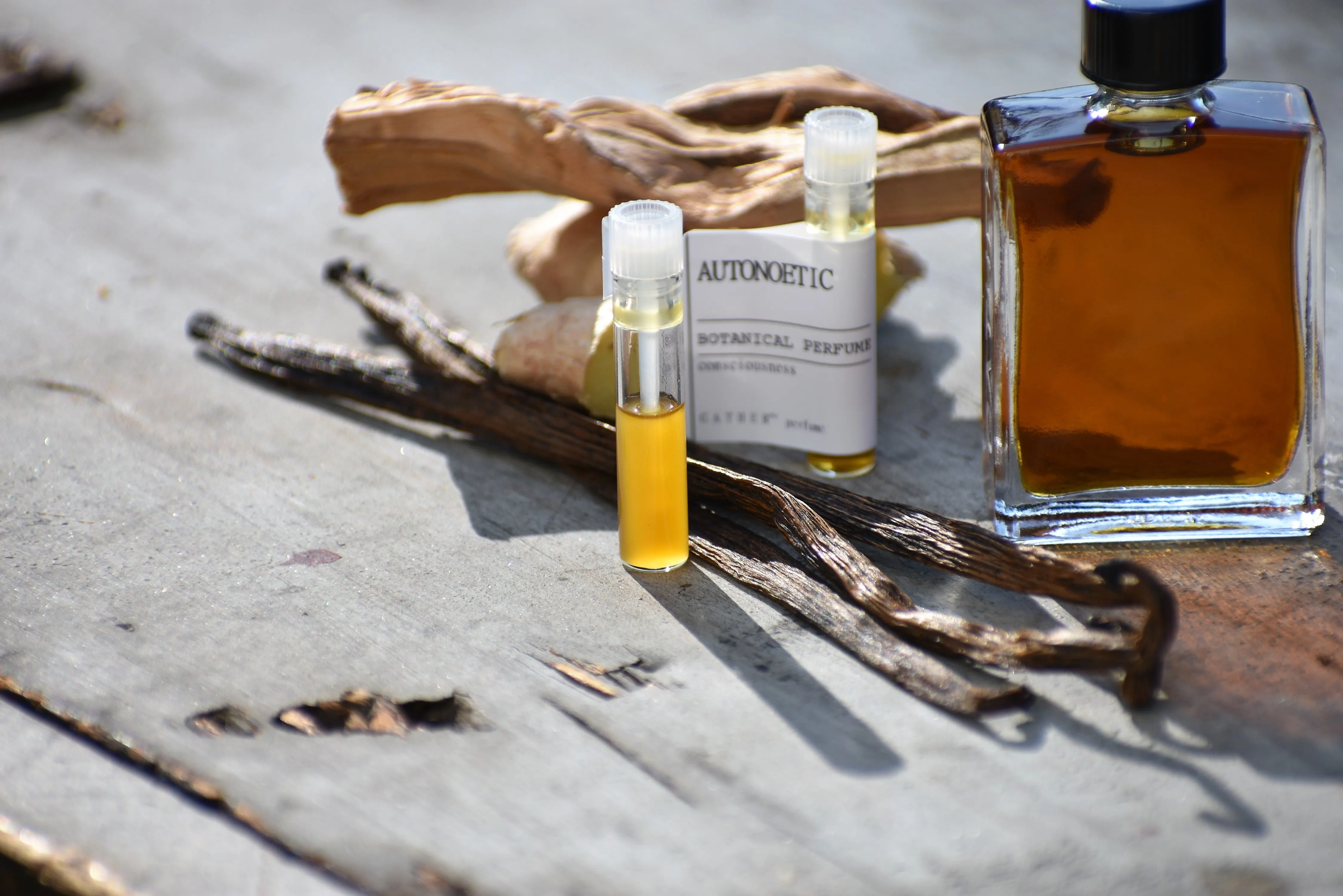 AUTONOETIC | natural botanical perfume | human consciousness