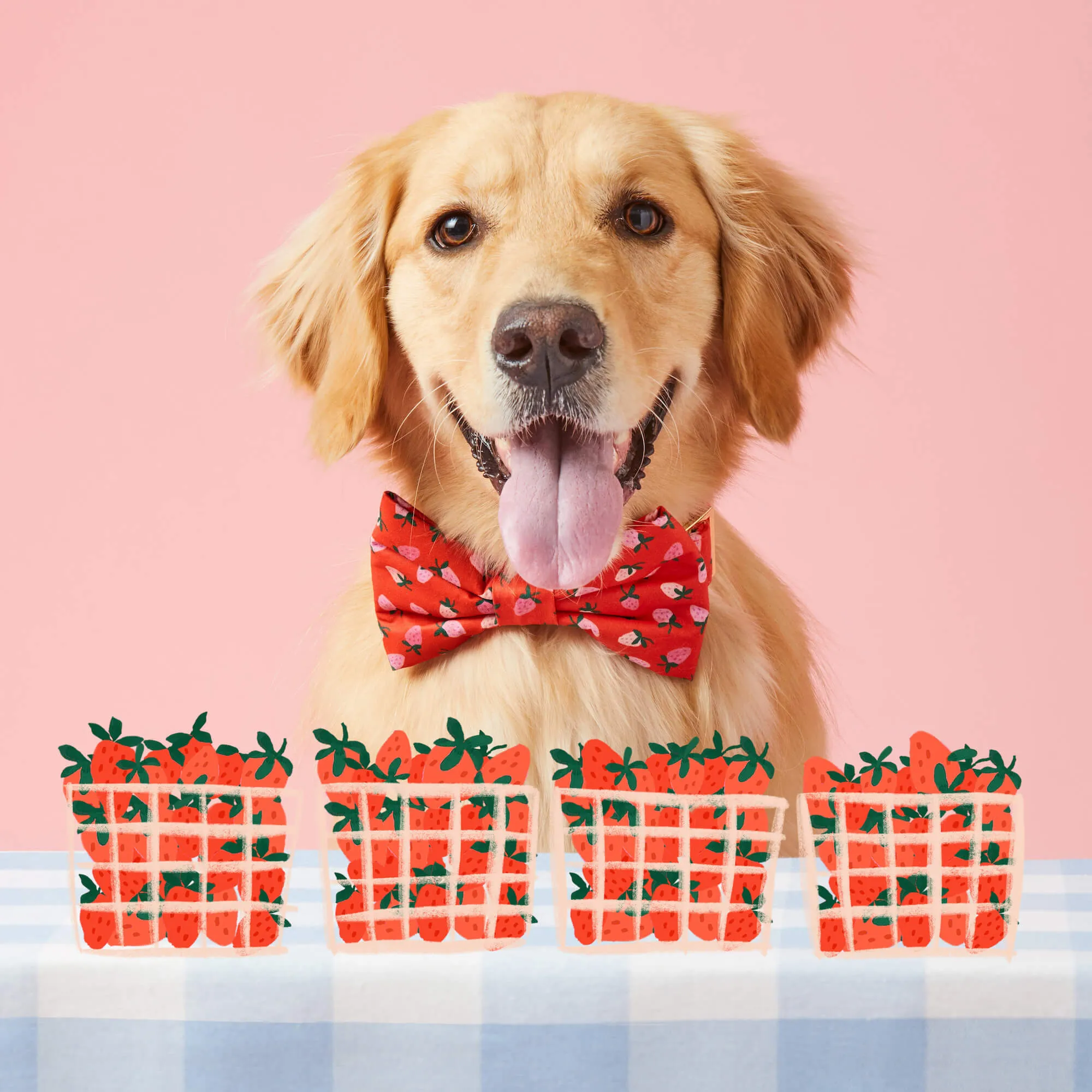 Berry Sweet Dog Bow Tie