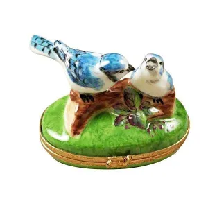 Blue Birds with Eggs
