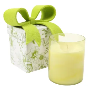 CAPE JASMINE 14OZ BOW BOX CANDLE min 6