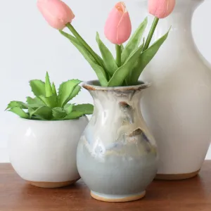 Carnation Vase Peaceful