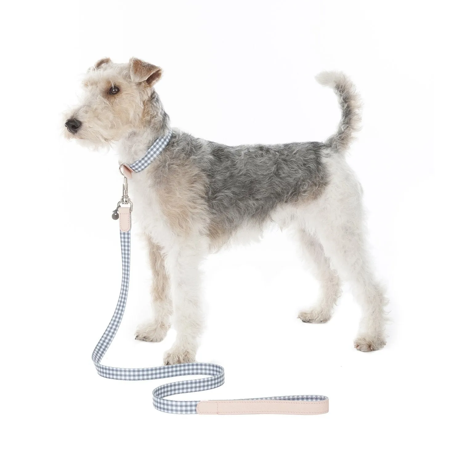 Clara Check Dog Collar