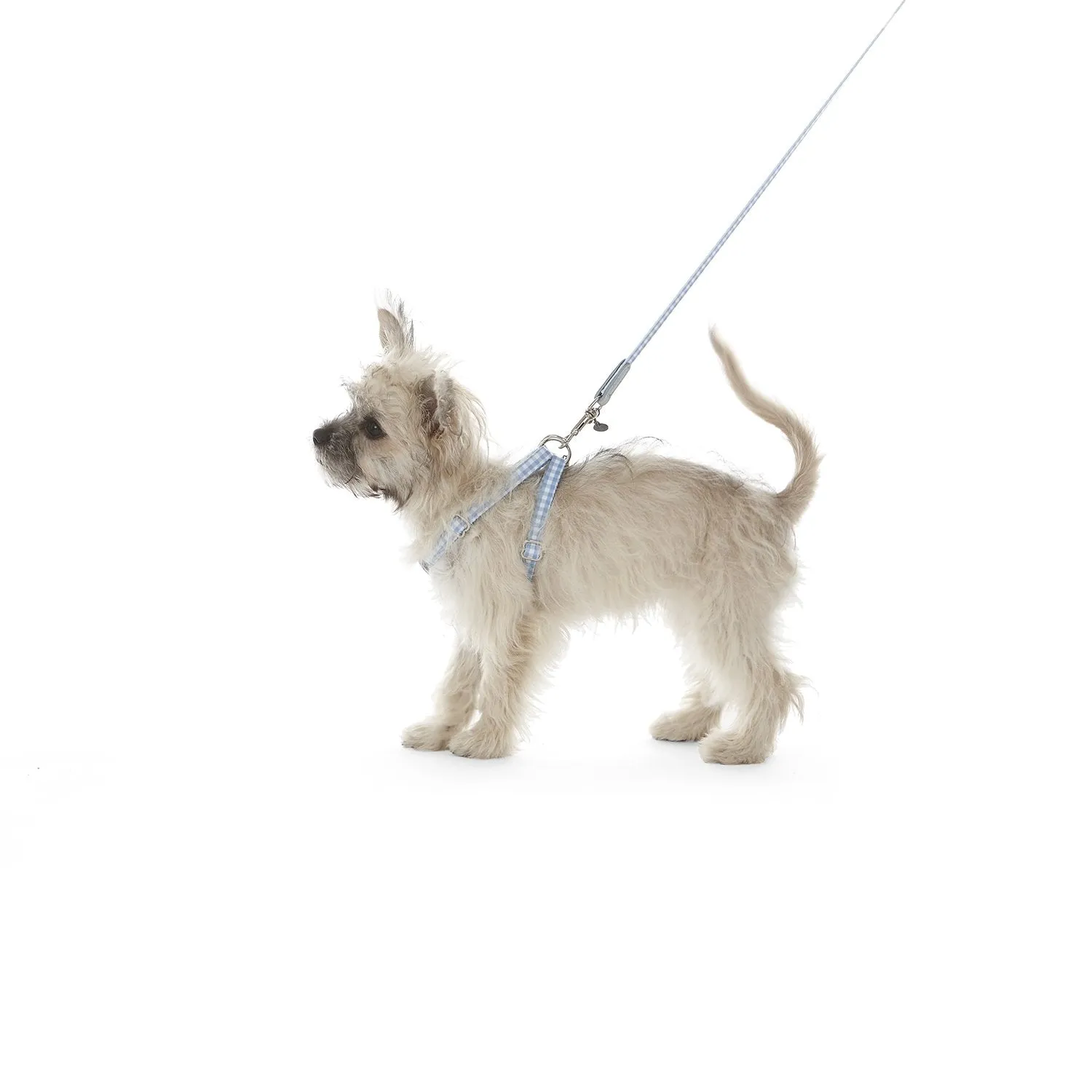 Clara Check Dog Lead