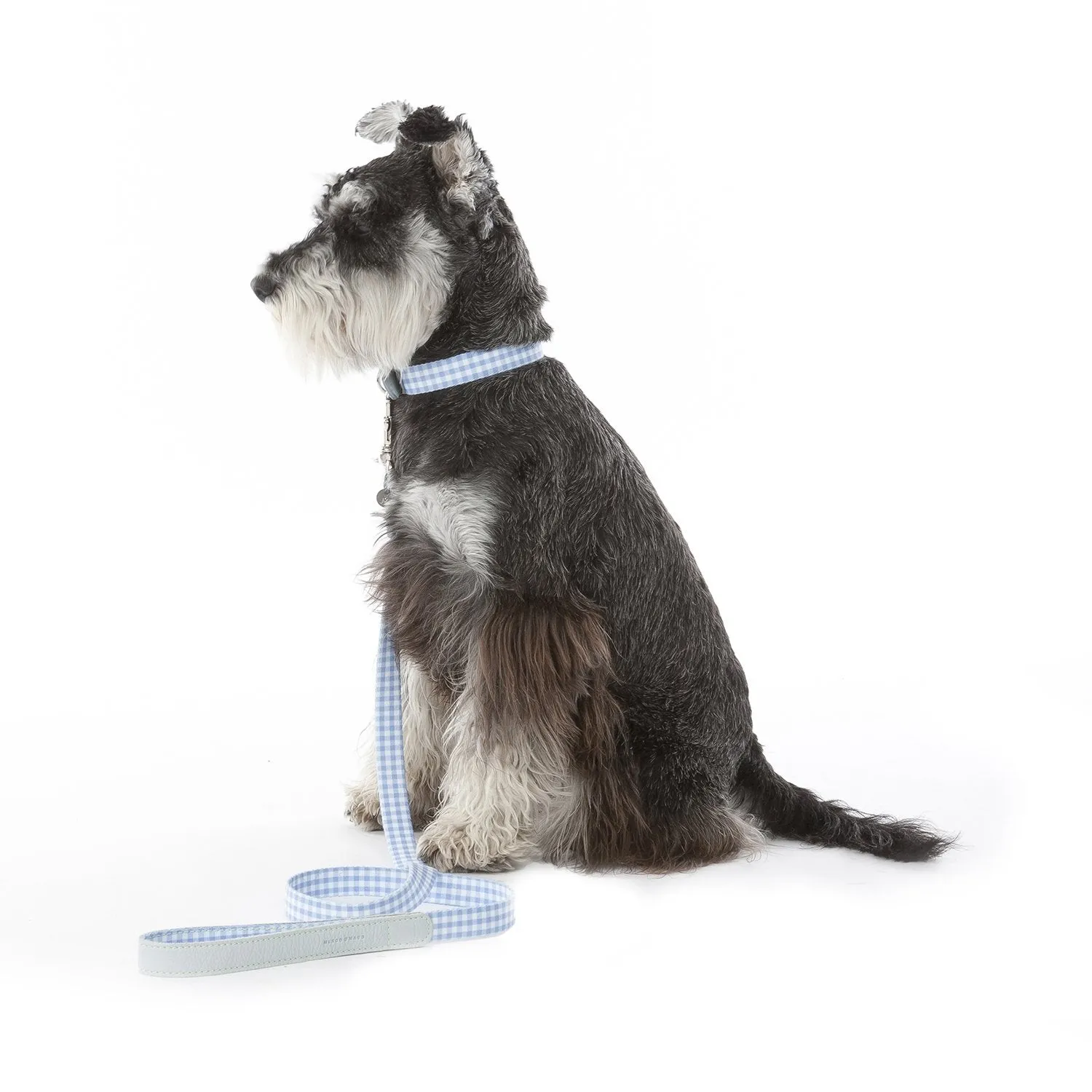 Clara Check Dog Lead