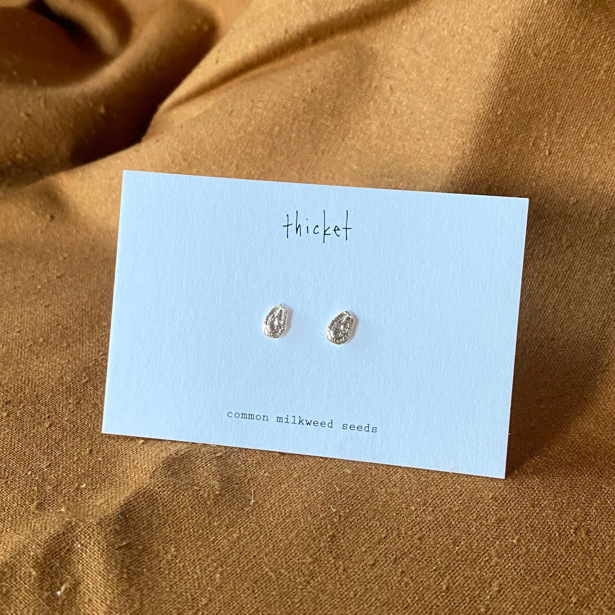 common milkweed seed studs