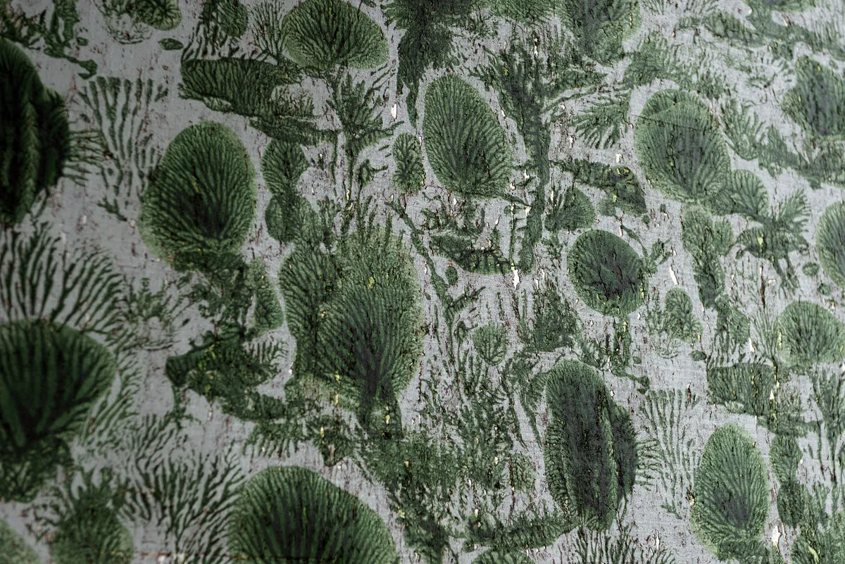 coral blotch cork wallpaper
