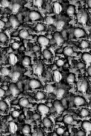 coral blotch cork wallpaper