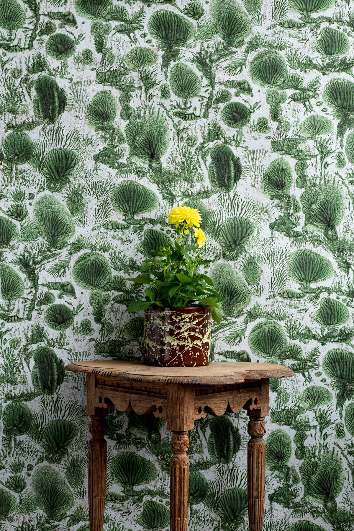 coral blotch cork wallpaper