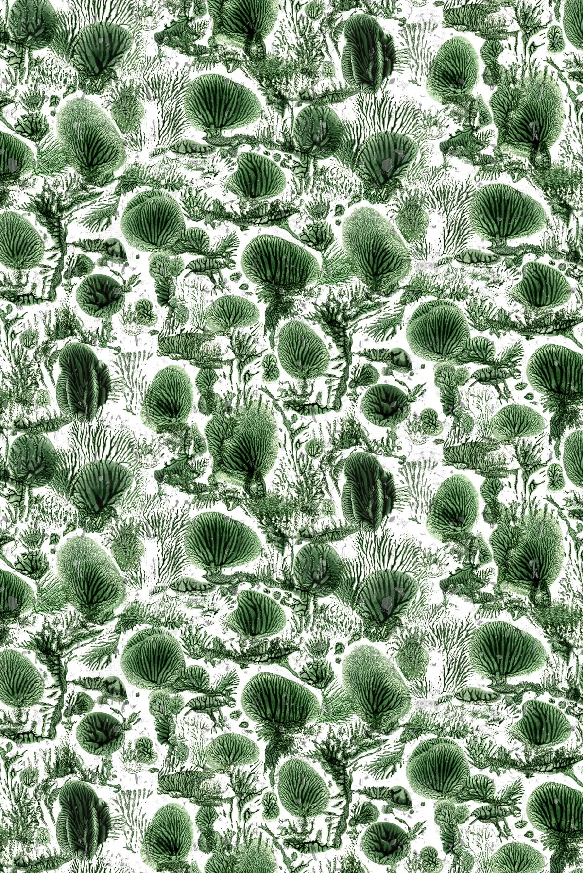 coral blotch cork wallpaper