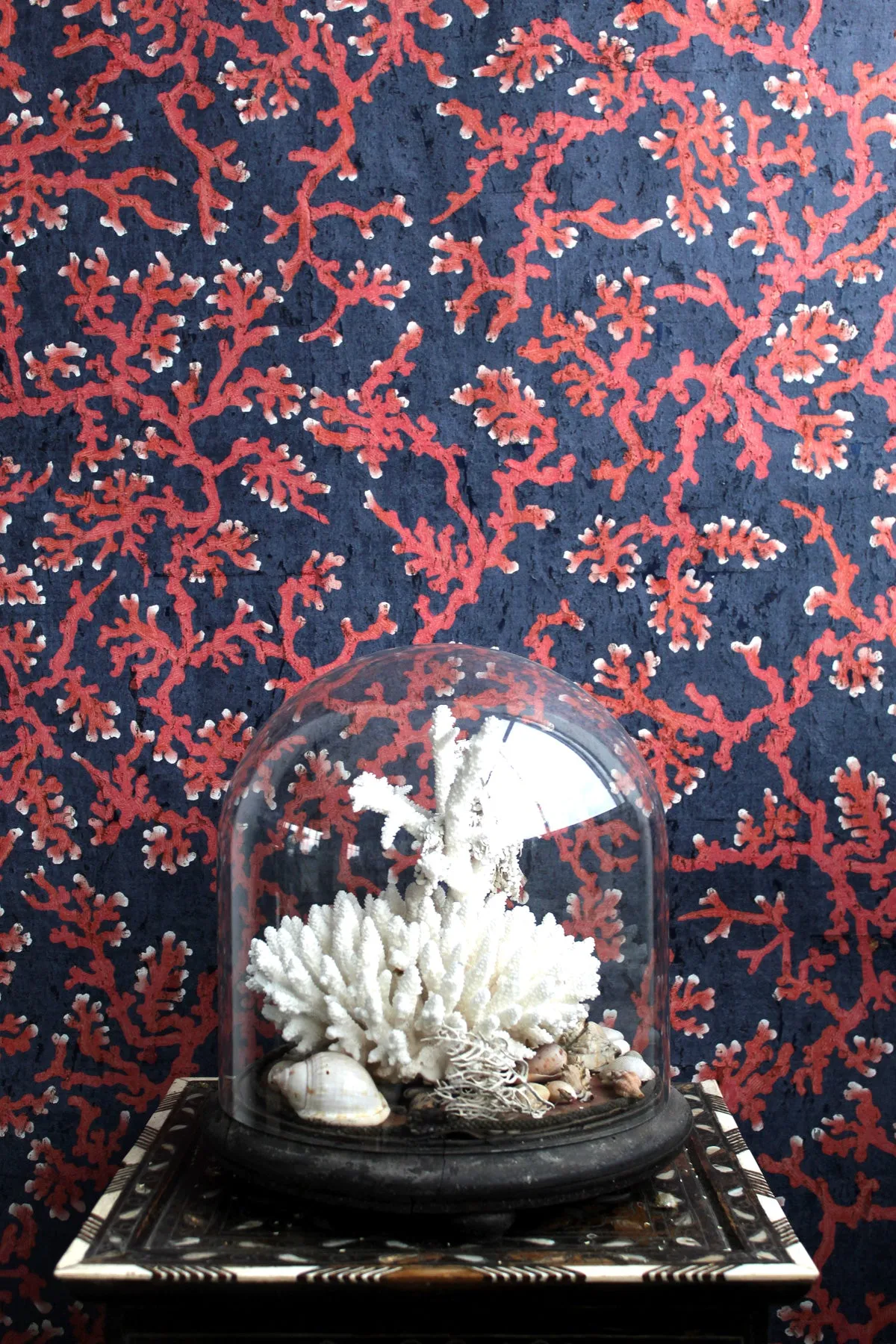 coral cork wallpaper