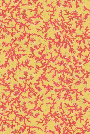 coral cork wallpaper