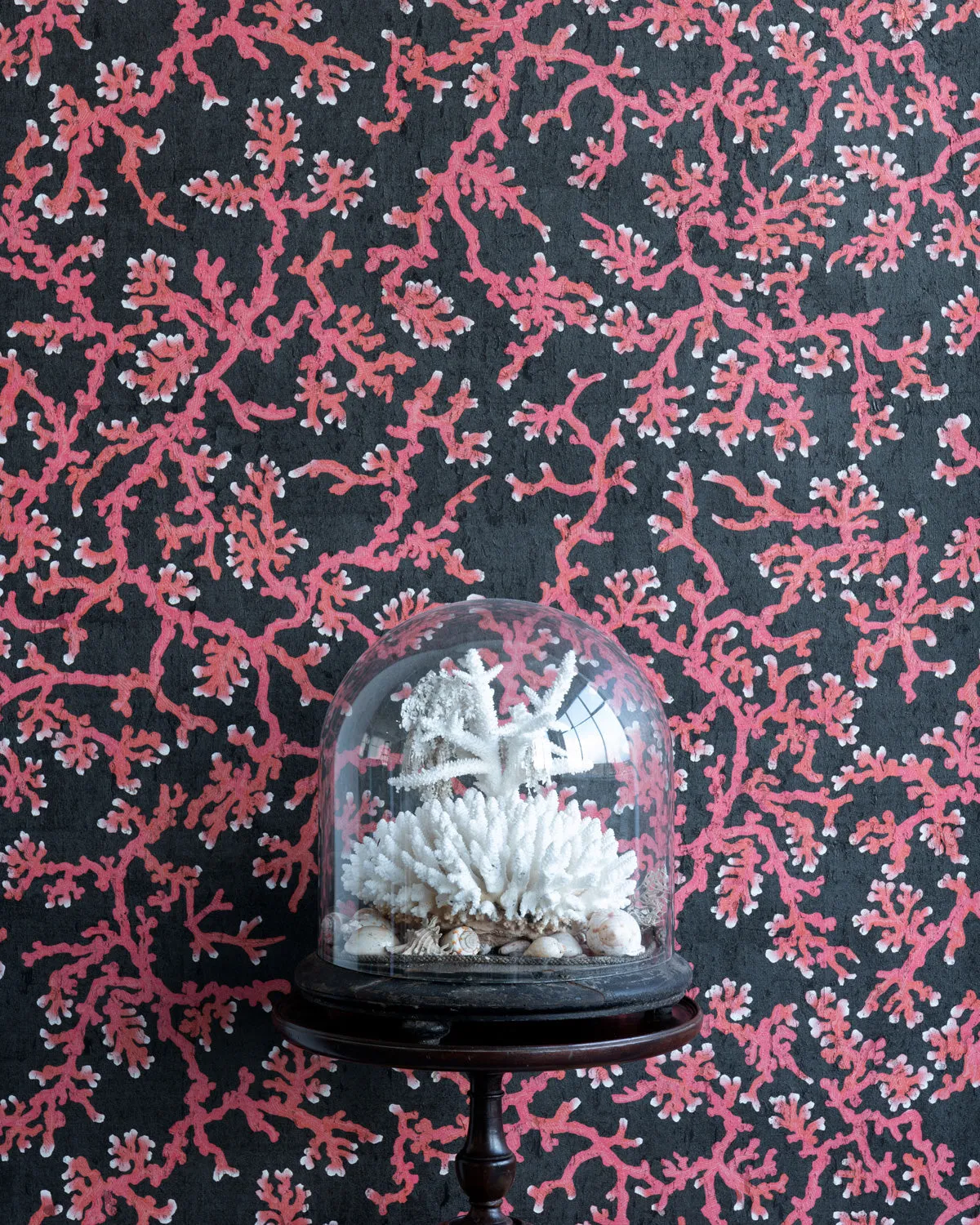 coral cork wallpaper