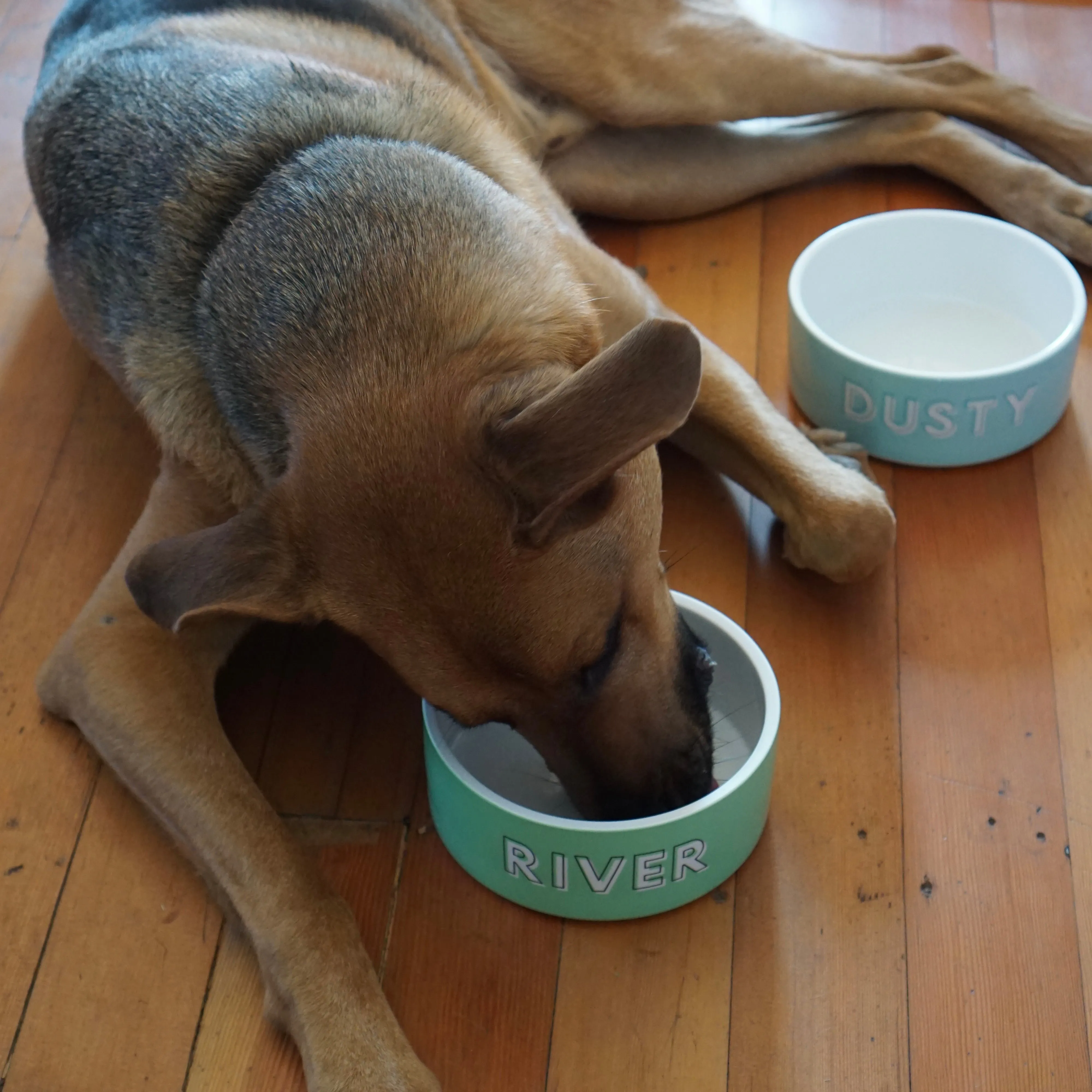 Custom Solid Color Dog Bowl