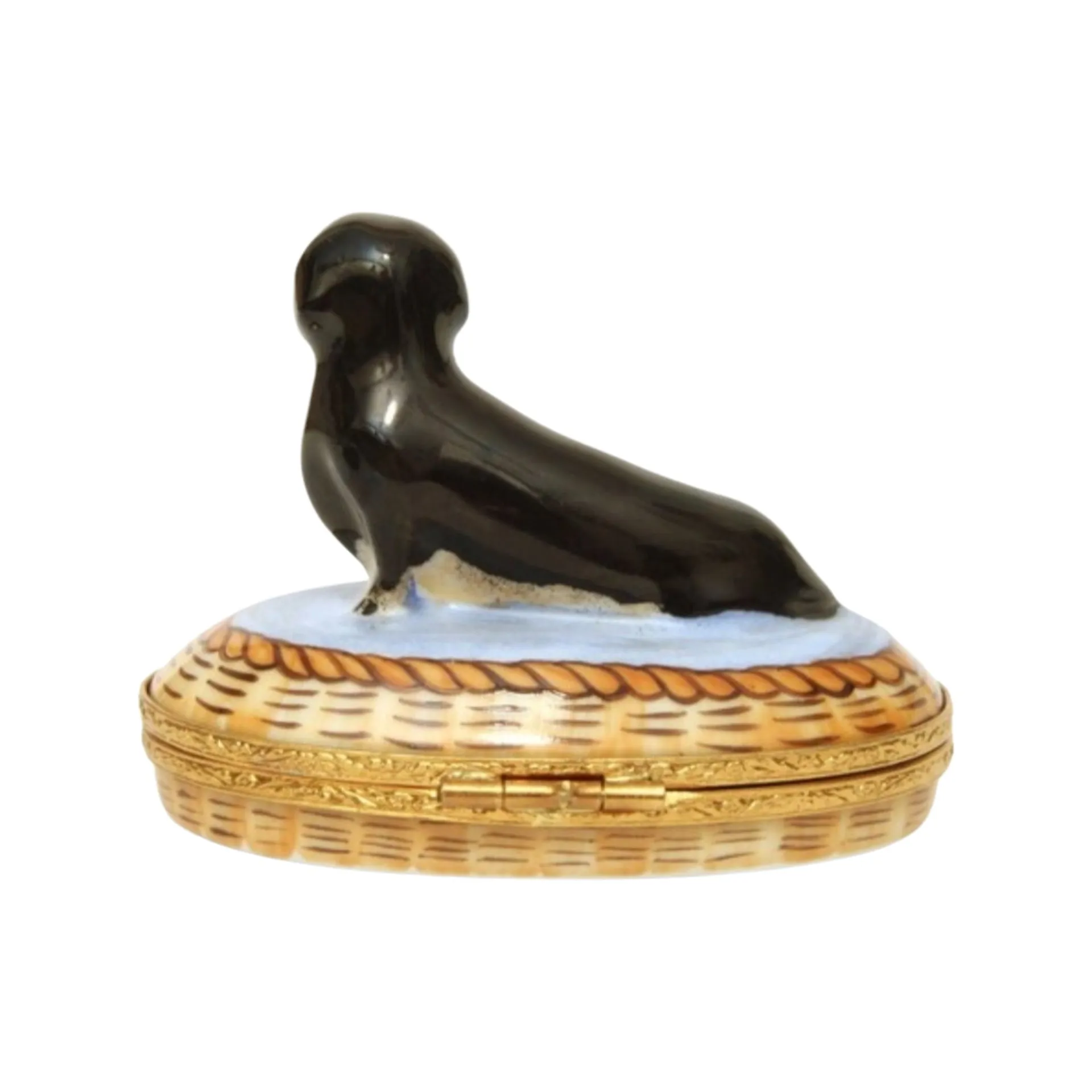 Dachshund In Basket: Black Dog