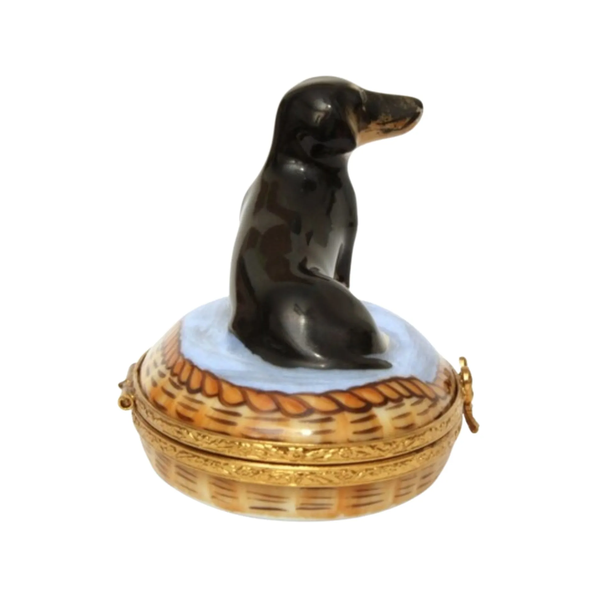 Dachshund In Basket: Black Dog