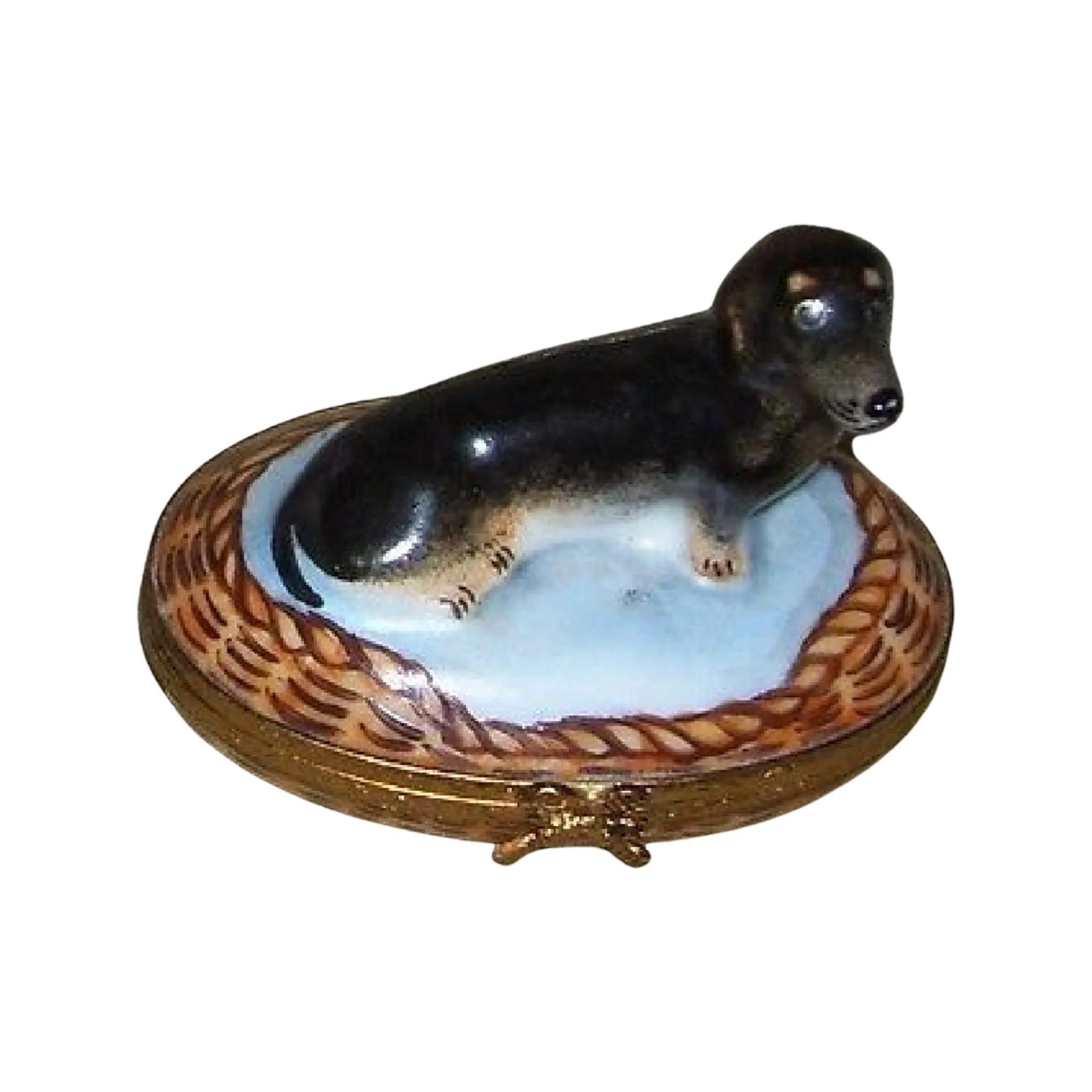 Dachshund In Basket: Black Dog