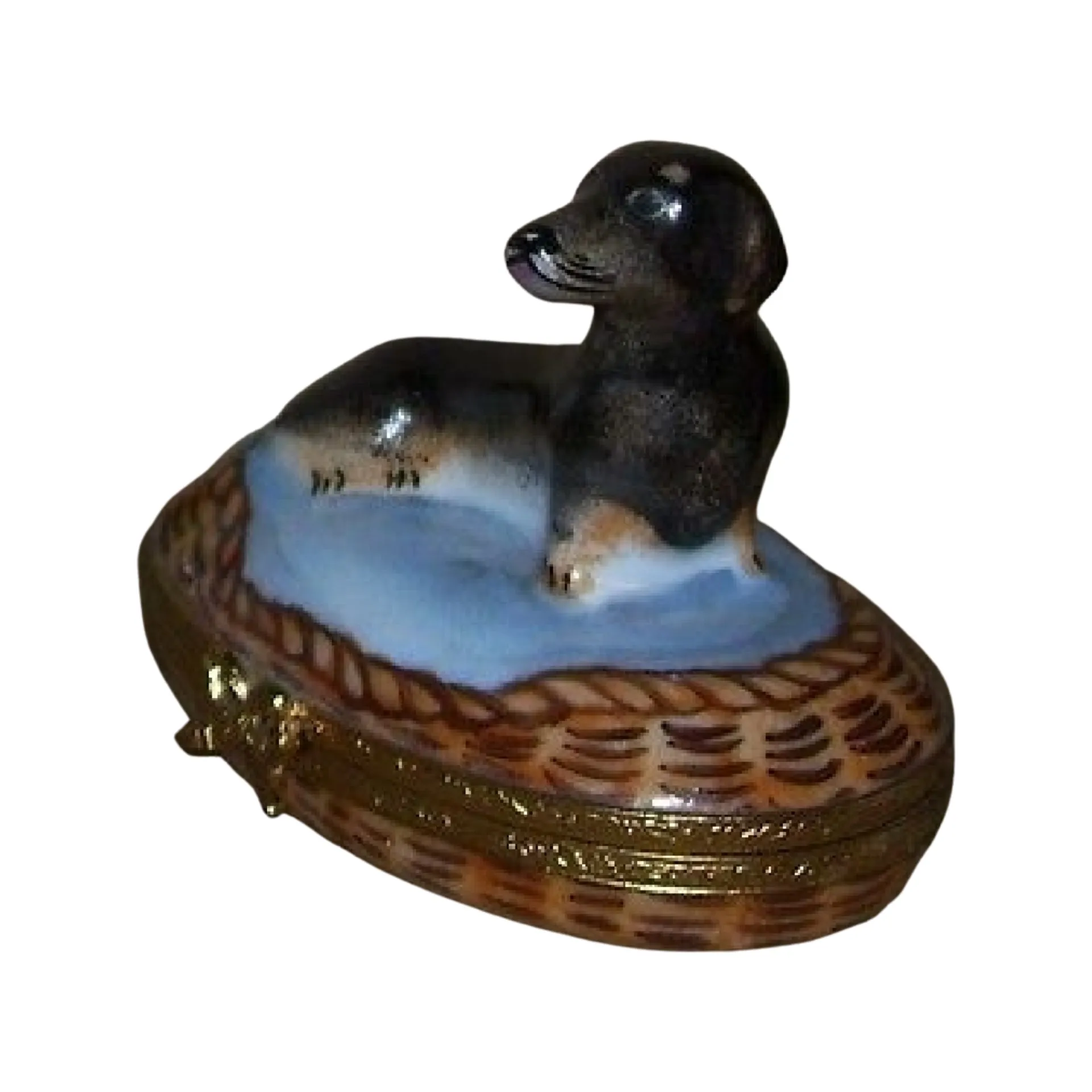 Dachshund In Basket: Black Dog