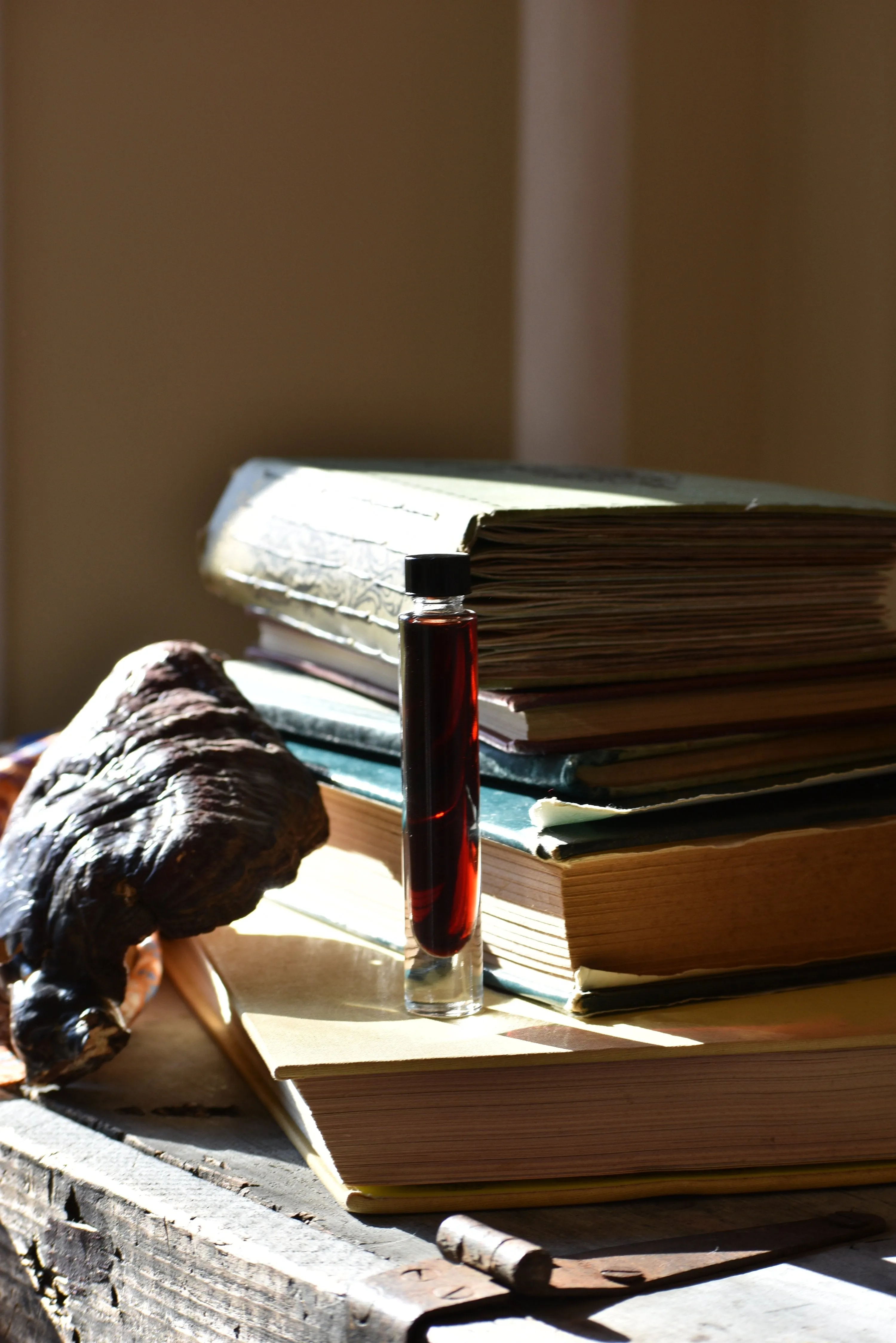 DARKNESS { underground } - folk tale week perfume - wet earth - Limited project