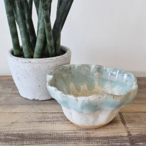 Dipping Bowl Hydrangea