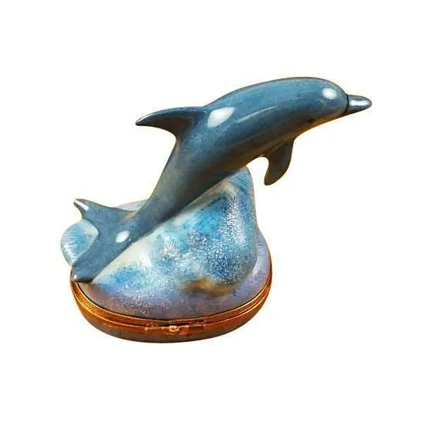 Dolphin with Baby