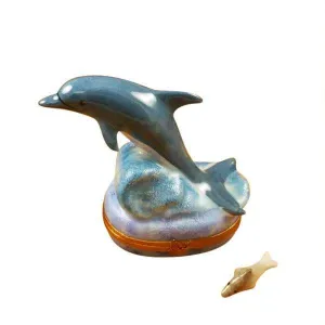 Dolphin with Baby