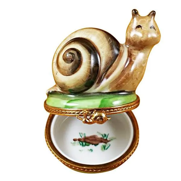 Escargot - Snail