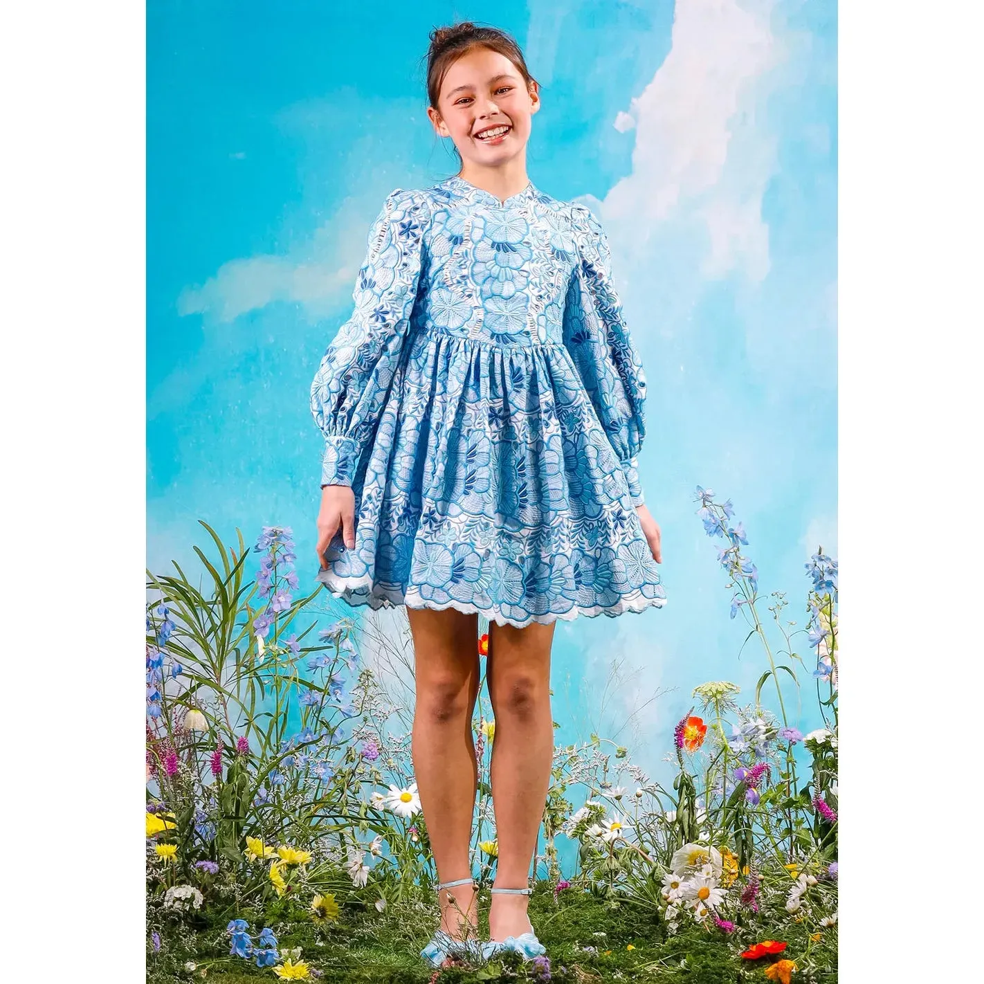 Evangeline Embroidered Dress