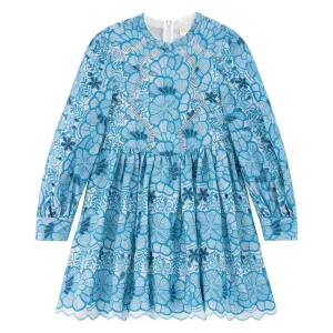 Evangeline Embroidered Dress