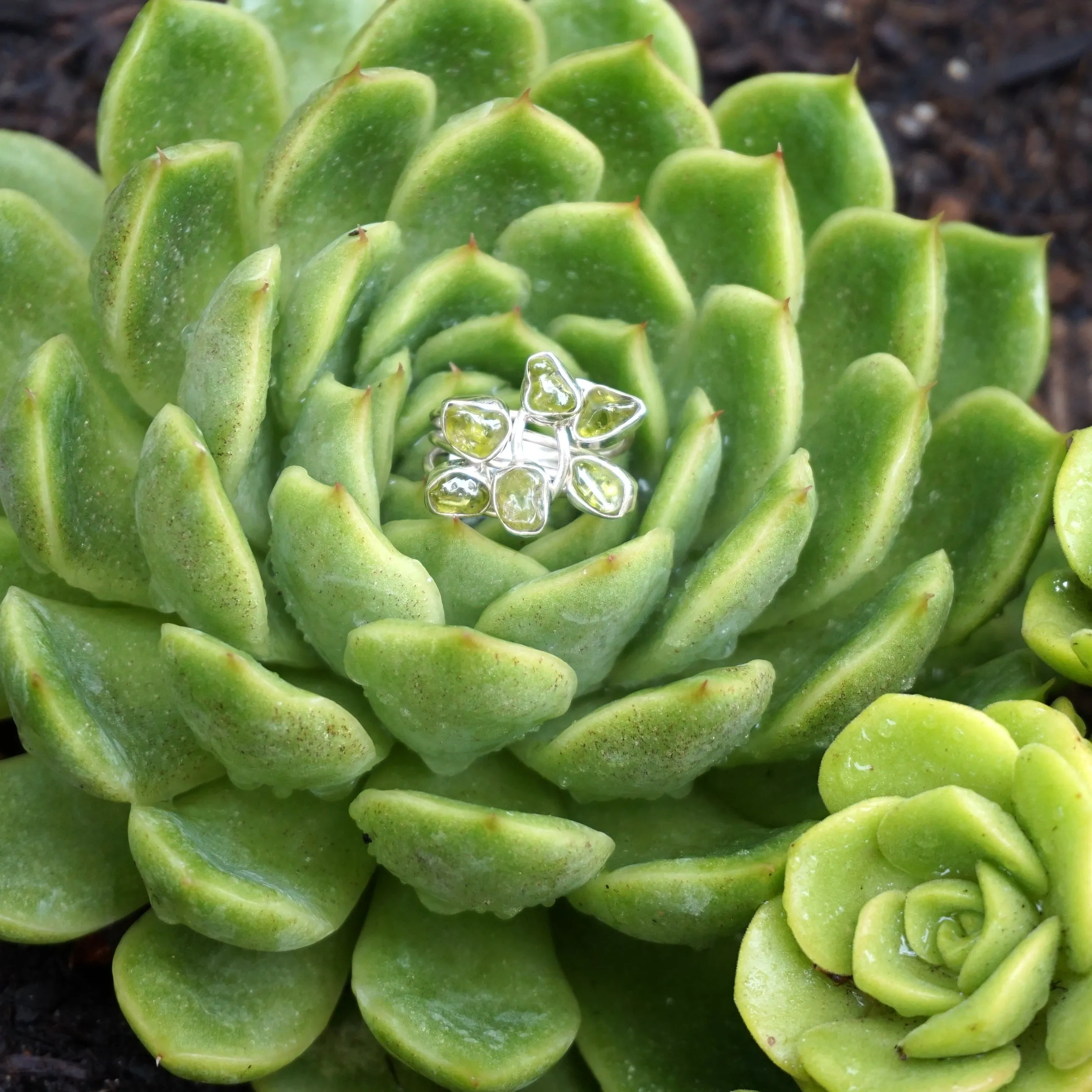 Free-form Organic Peridot Ring 2