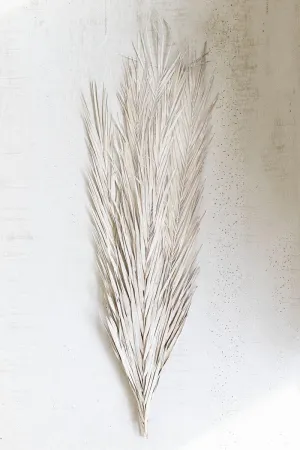 Frosted White Bundle of 10 Date Palm Leaves (Pack of 12)
