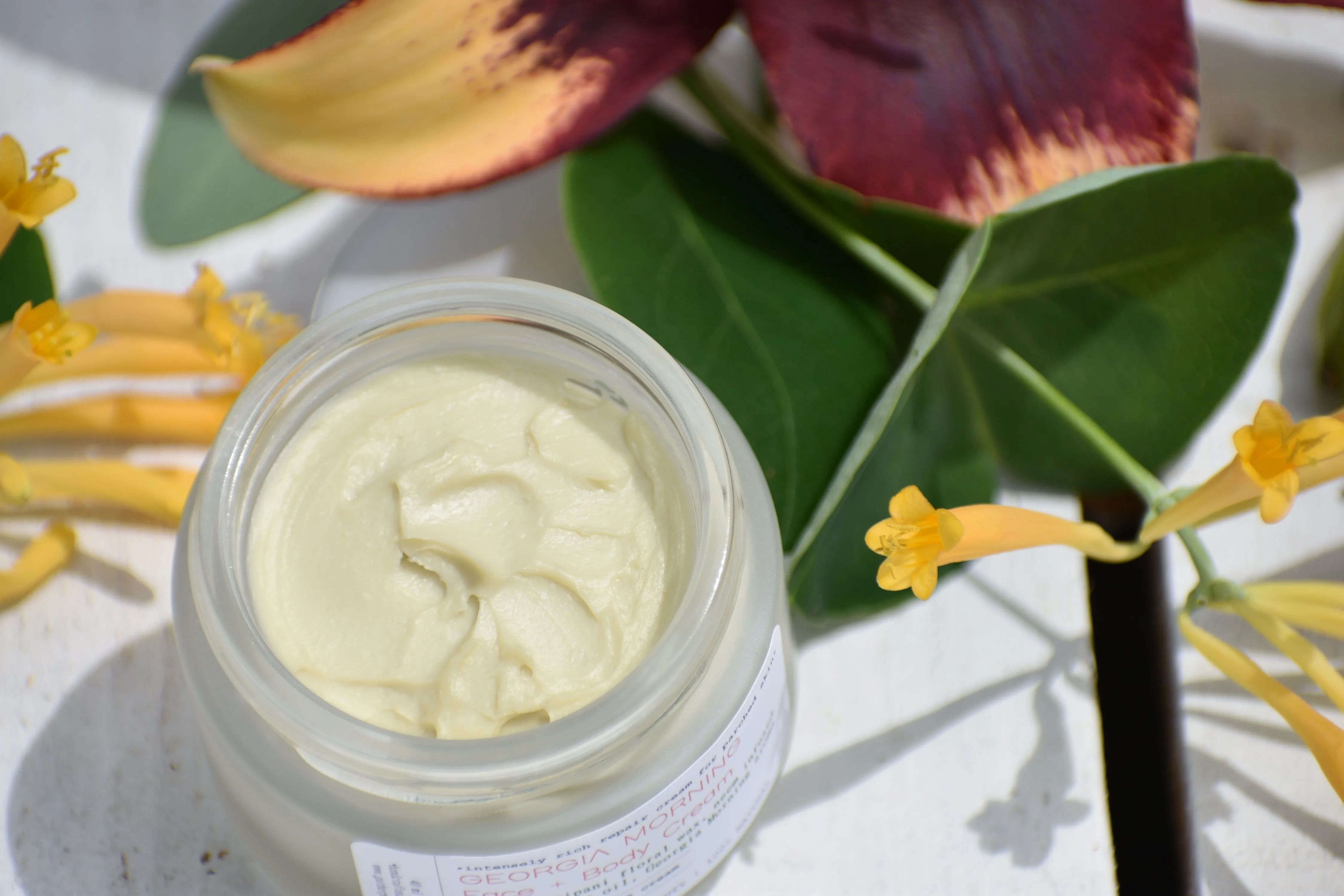 GEORGIA MORNING | Hand Whipped Face Cream | Neem, Camellia, Chamomile, Probiotics, Georgia Morning Aromatics