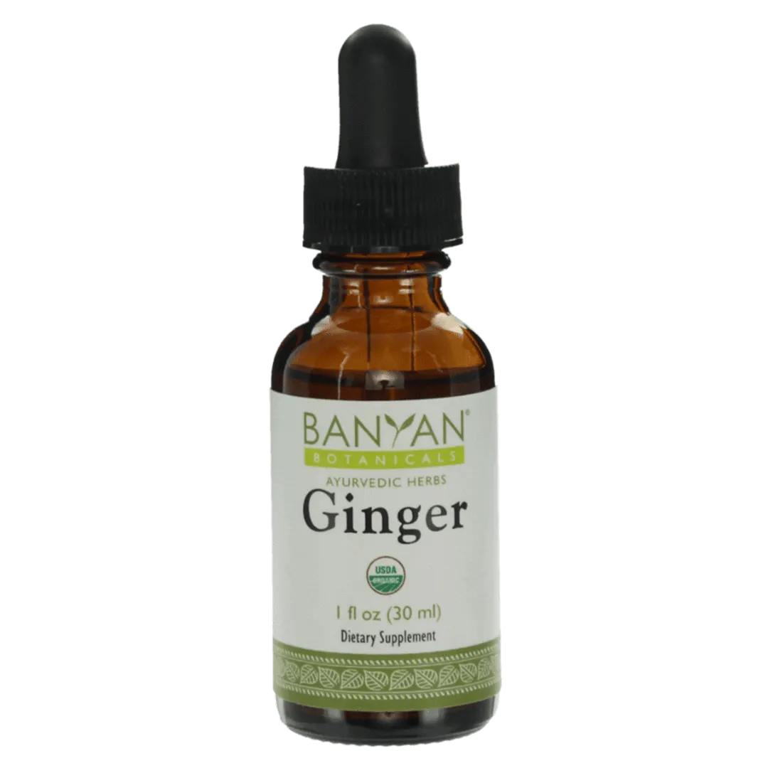 Ginger liquid extract | Certified Organic | 30ml