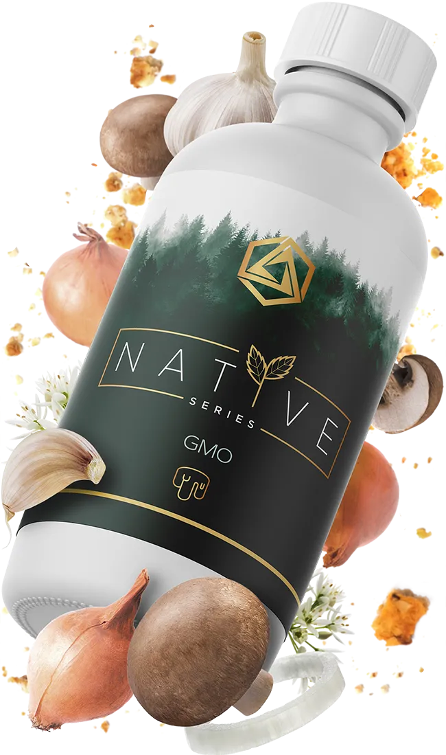 GMO