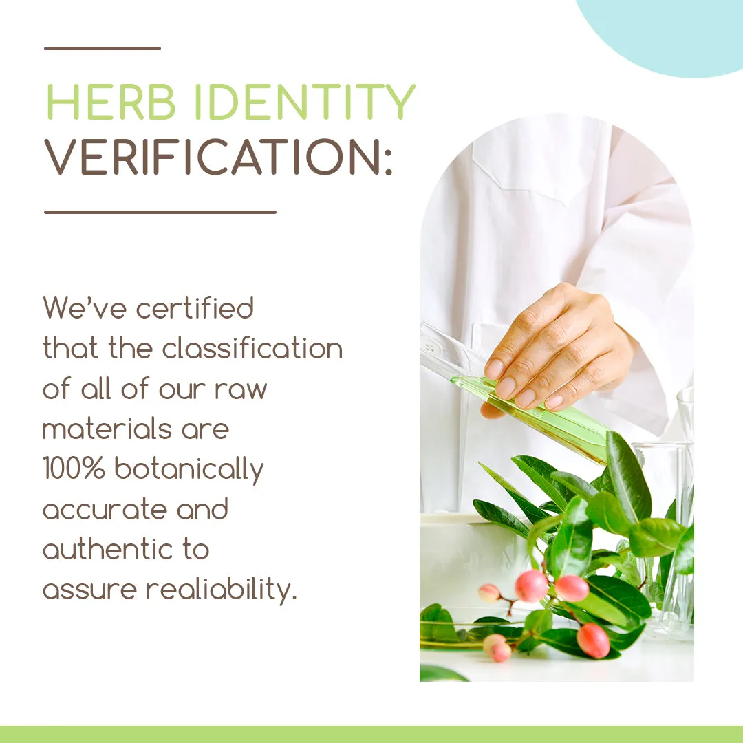 HerbEra | Holy Basil (Tulsi) Herbal Extract Tincture | Organic | Alcohol-FREE | 60ml | Made in USA