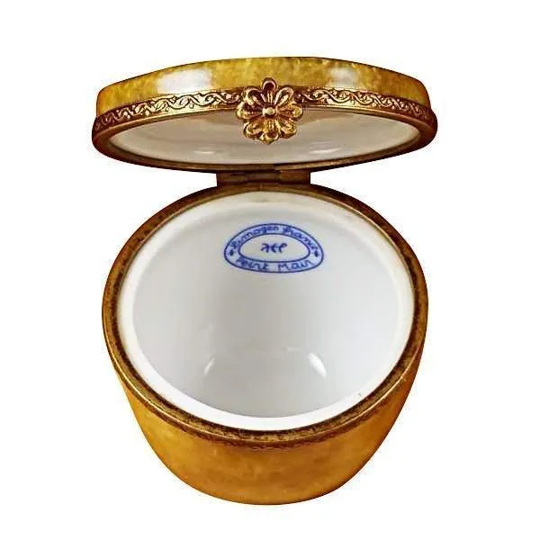 Kiwi limoges box