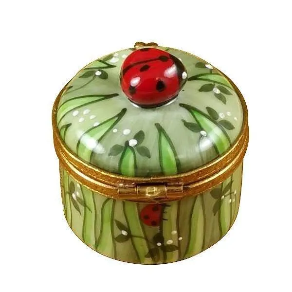 Ladybug In Grass