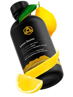 Lemon Slushie