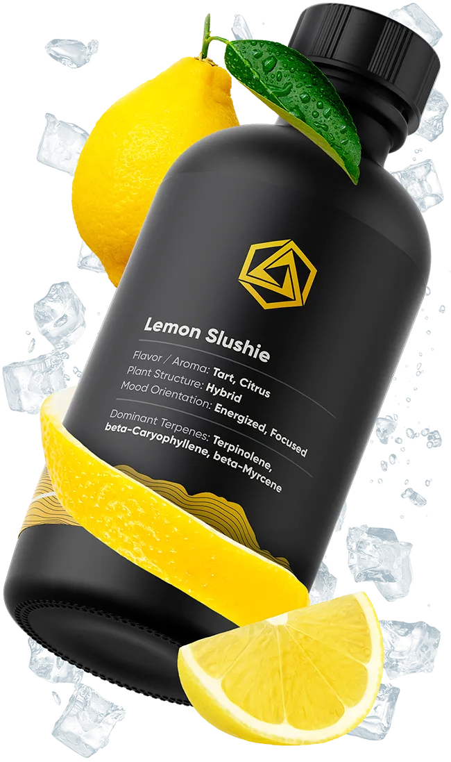 Lemon Slushie