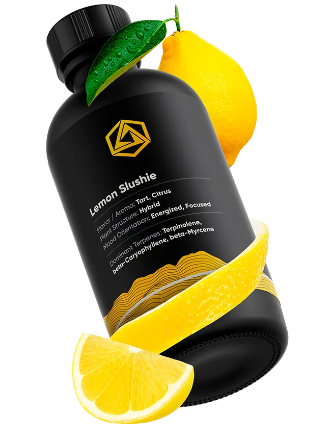 Lemon Slushie