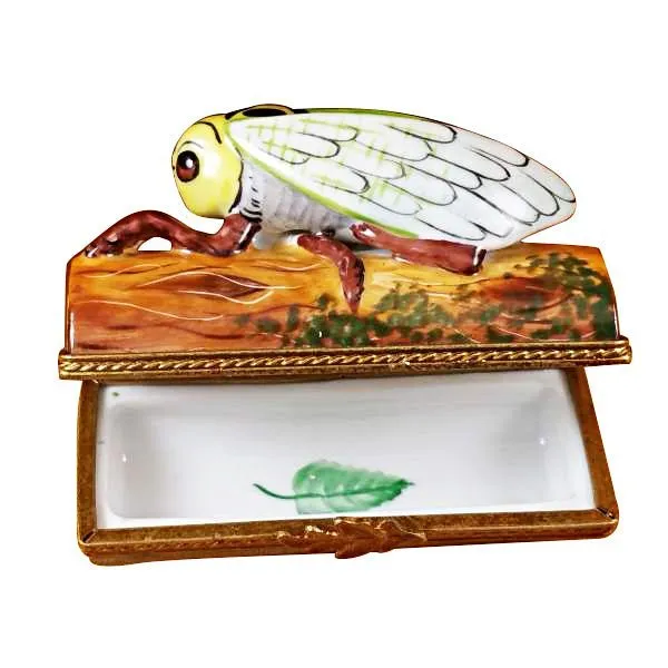 Locust on Log
