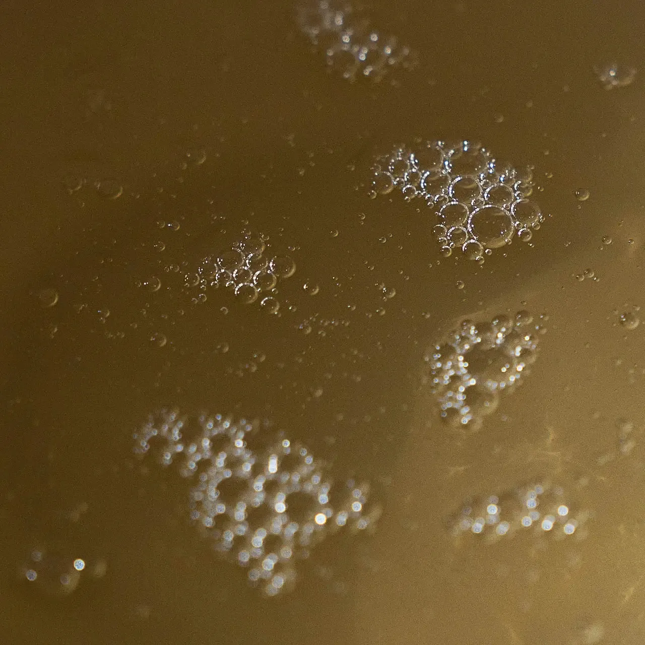 mae / hand soap - lavender