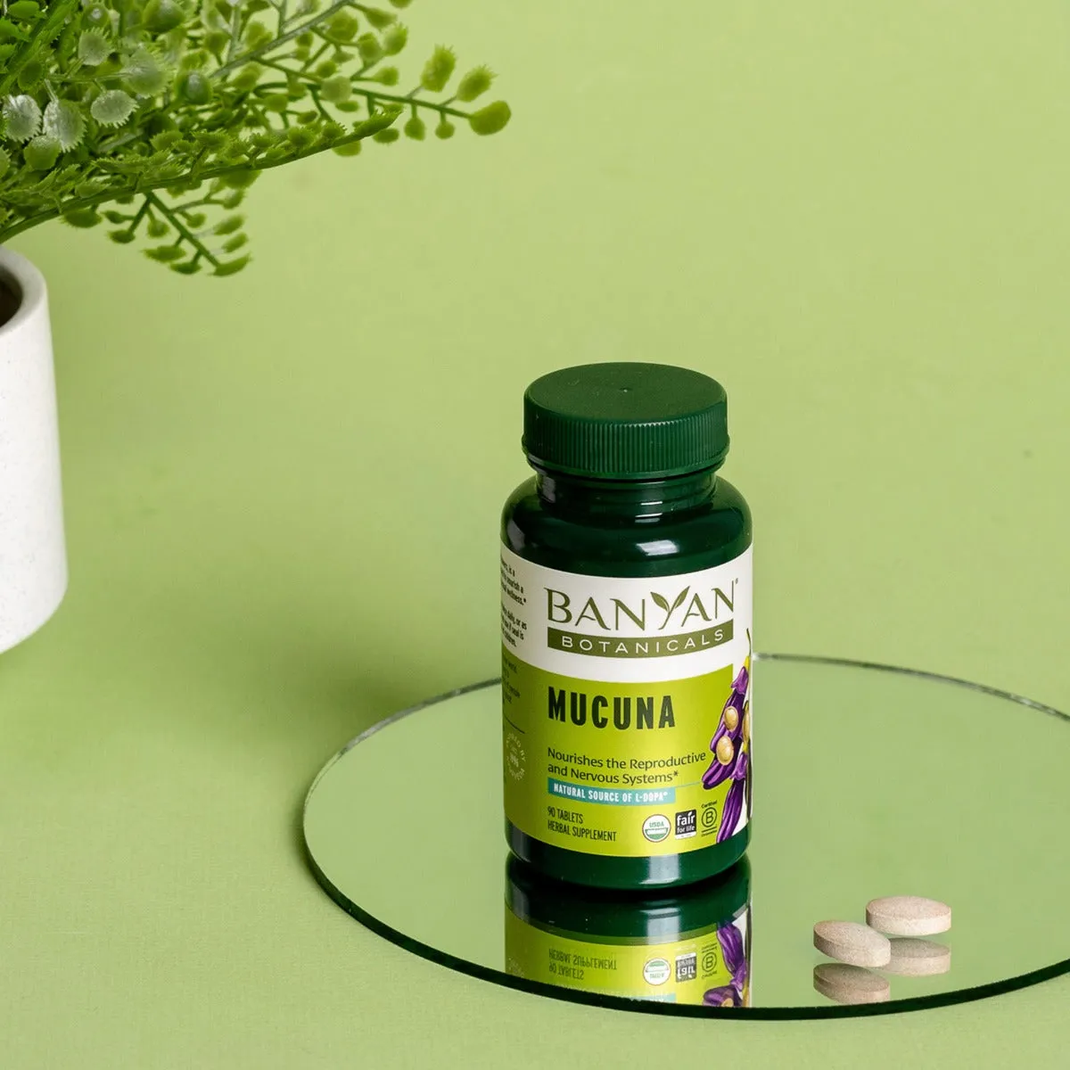 Mucuna (Kapikacchu) Tablets | Certified Organic