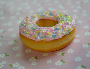Pastel Rainbow Sprinkles Doughnut Magnet