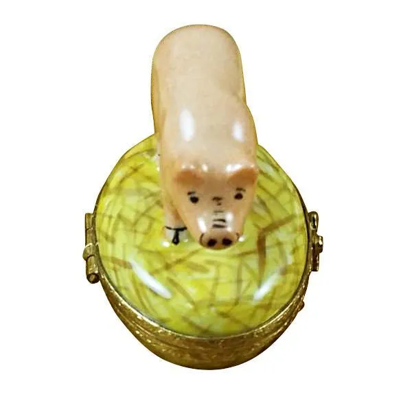 Pig on Straw