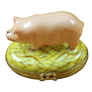 Pig on Straw
