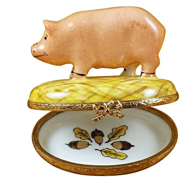 Pig on Straw