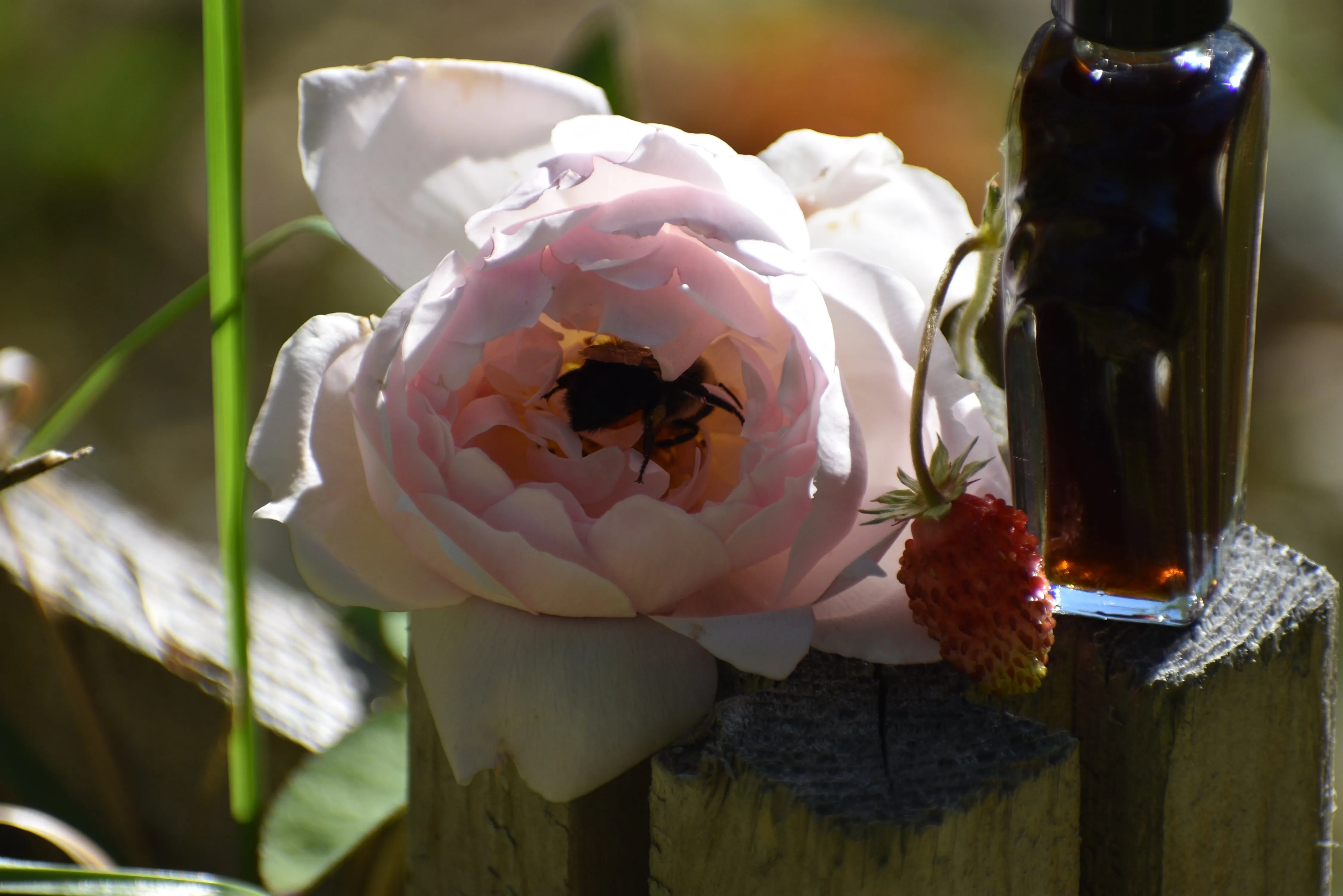 PLEASURES UNKNOWN | Perfume of Perfume | collected treasures through creating (Millefleur #2)